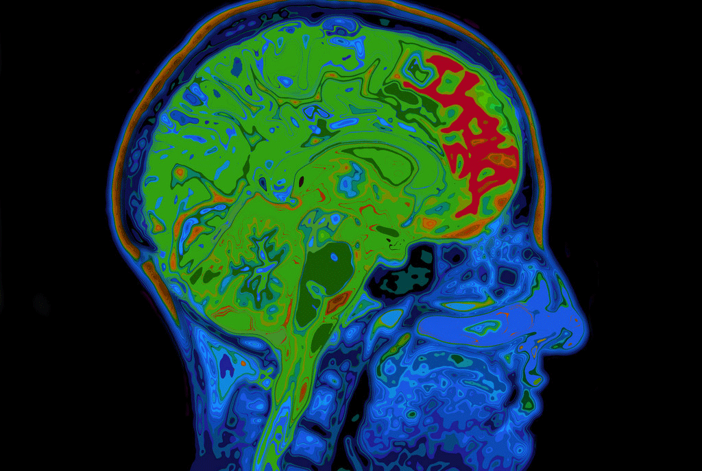 The Neurobiology Of PTSD Treatment